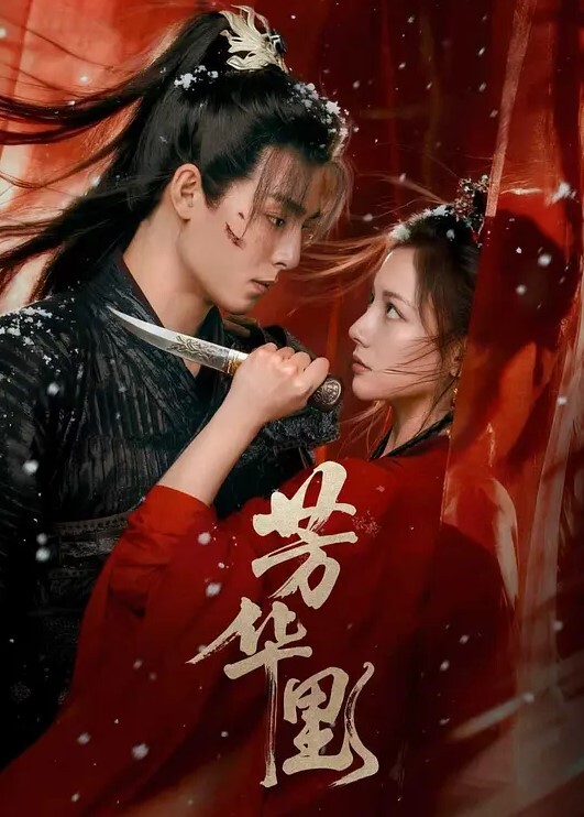 两只马尾辫气质美女2 - 托尼老师海报